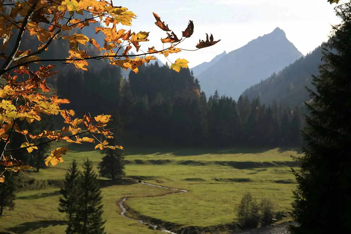 NOCG families can enjoy living in southern Germany