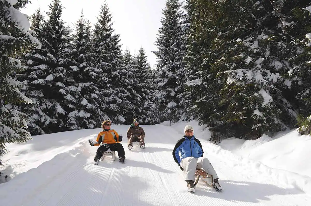 NOCG families can enjoy sledging
