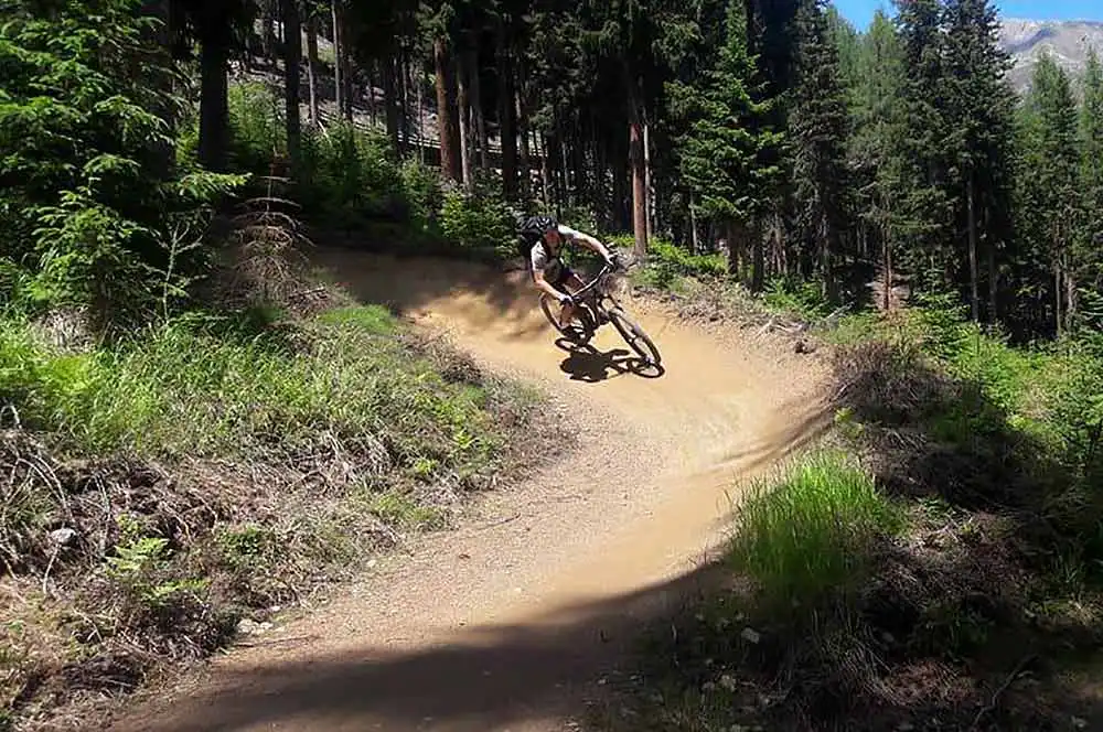Mountain biking in summer with NOCG