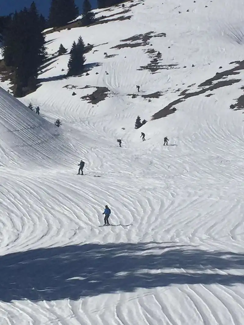 Skiing with NOCG