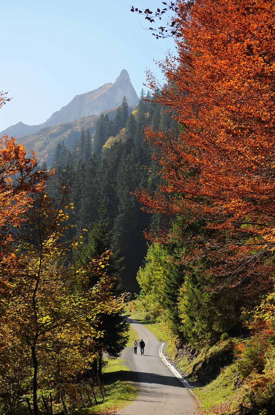 Walking in Bavaria