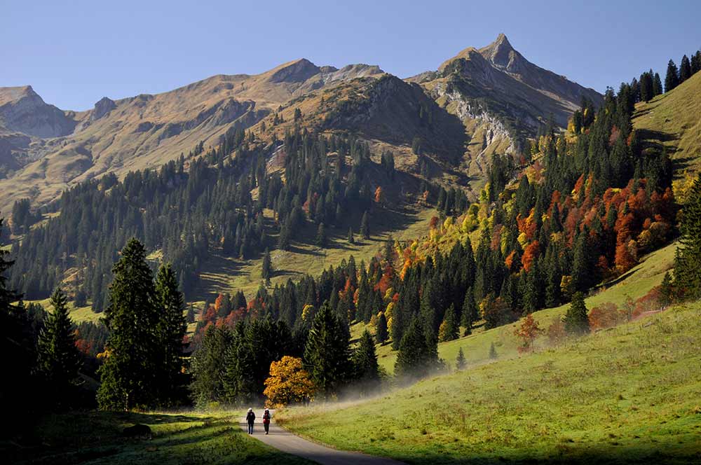 Walking in Bavaria